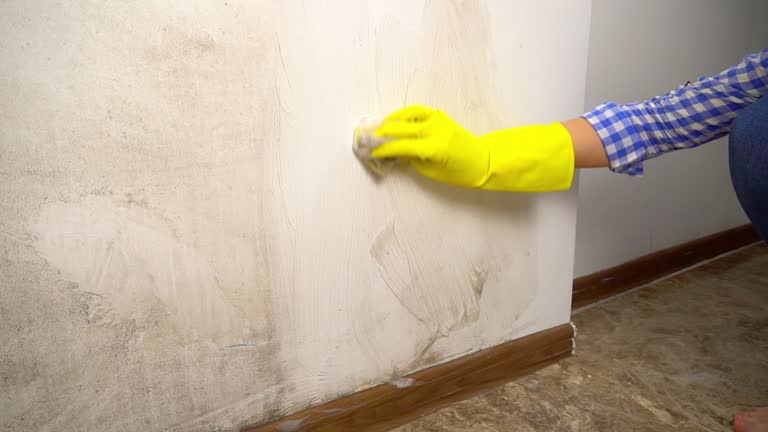 Best Real Estate Mold Inspection  in Shively, KY