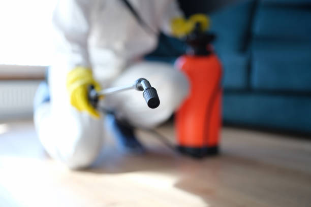 Best Forensic Mold Investigation  in Shively, KY